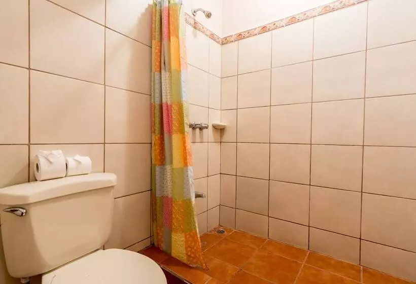 酒店 Arenal Palace