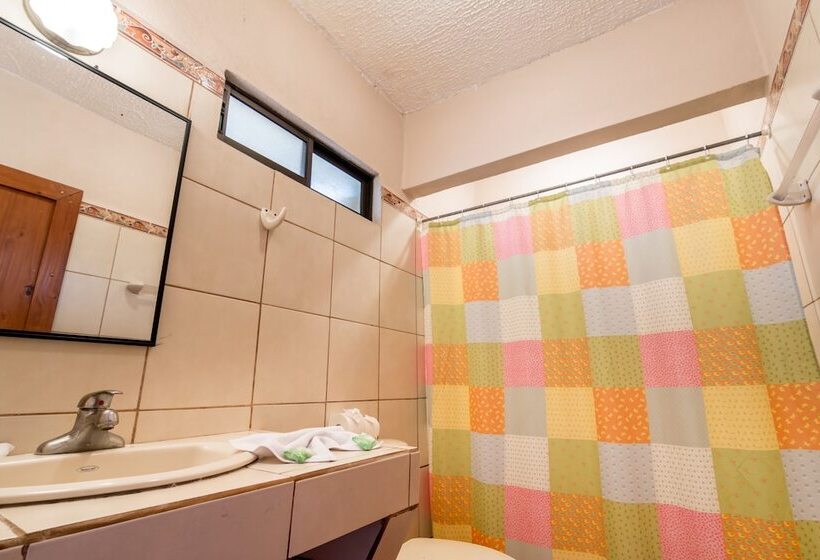 فندق Arenal Palace