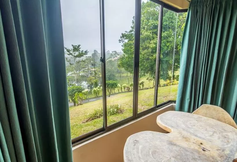 酒店 Arenal Palace