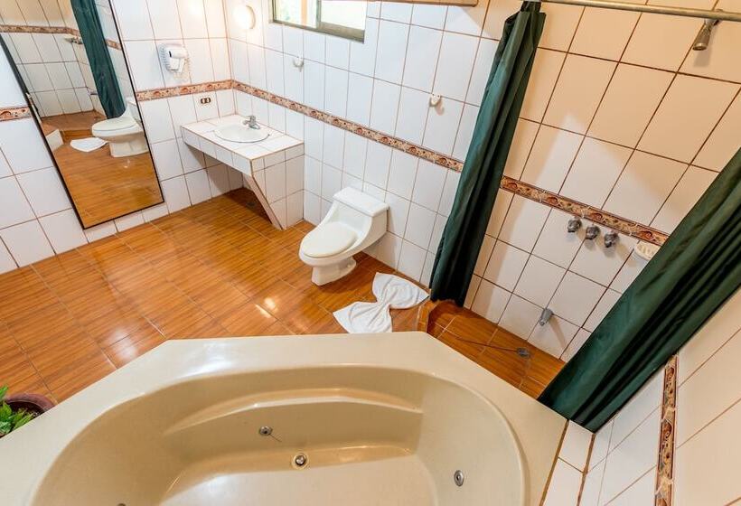 فندق Arenal Palace