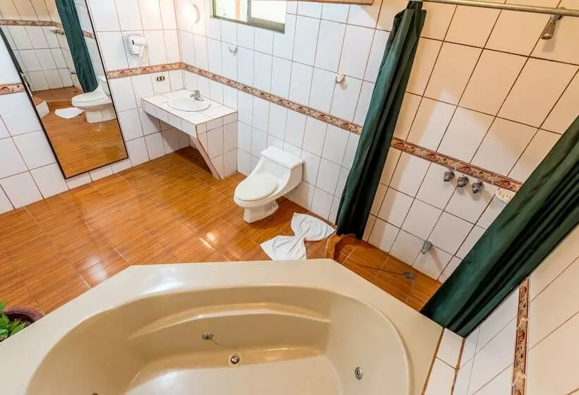 酒店 Arenal Palace