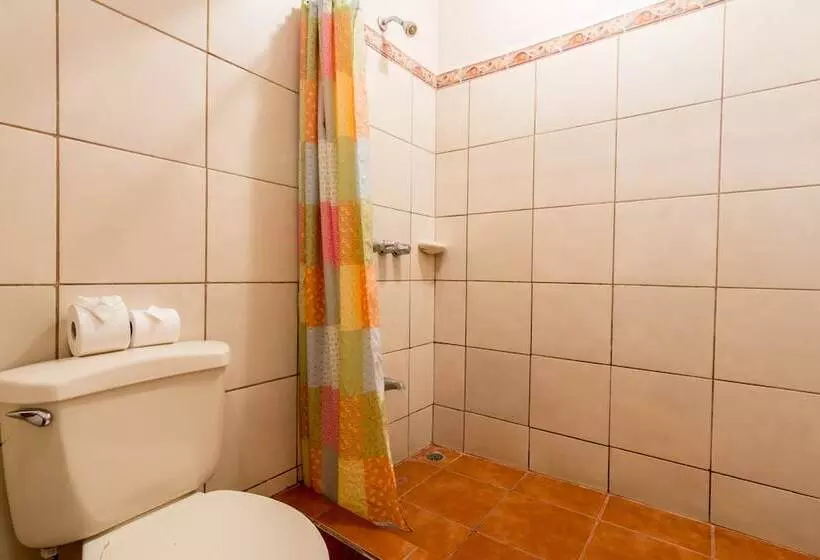 酒店 Arenal Palace