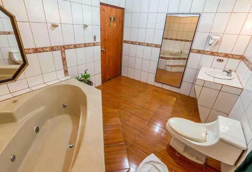 酒店 Arenal Palace