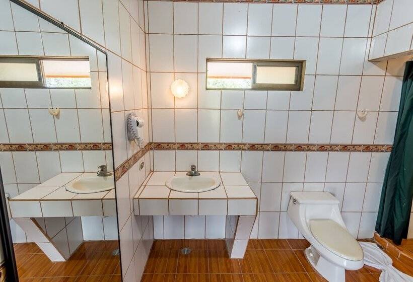 فندق Arenal Palace