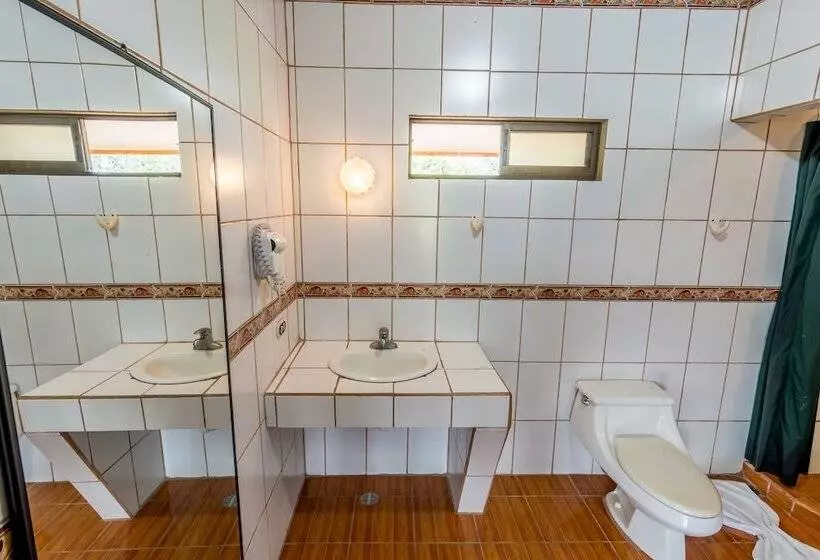 酒店 Arenal Palace