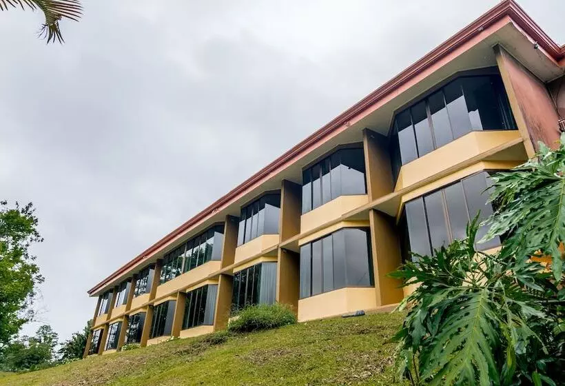 酒店 Arenal Palace