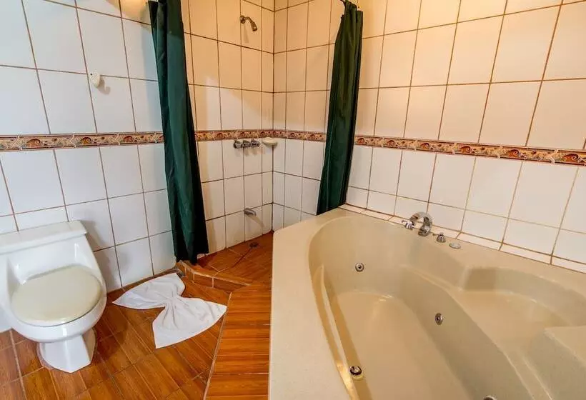 酒店 Arenal Palace