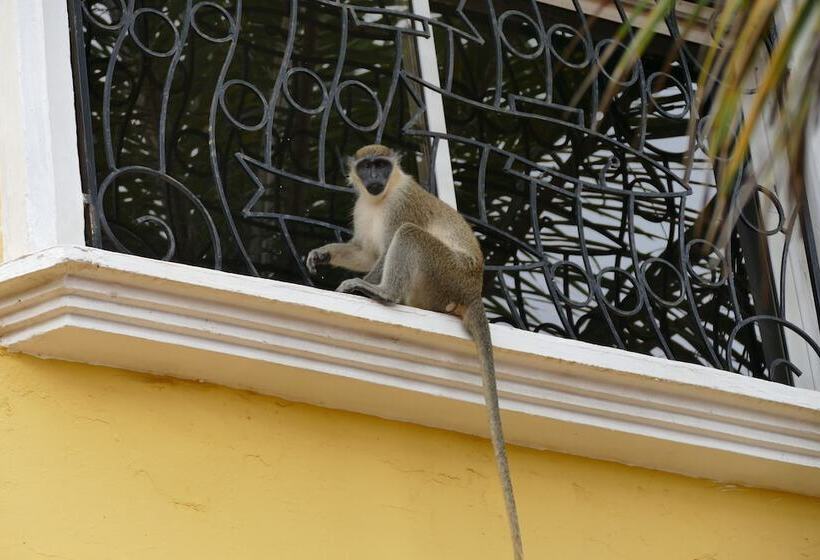 酒店 Calabash Apartment