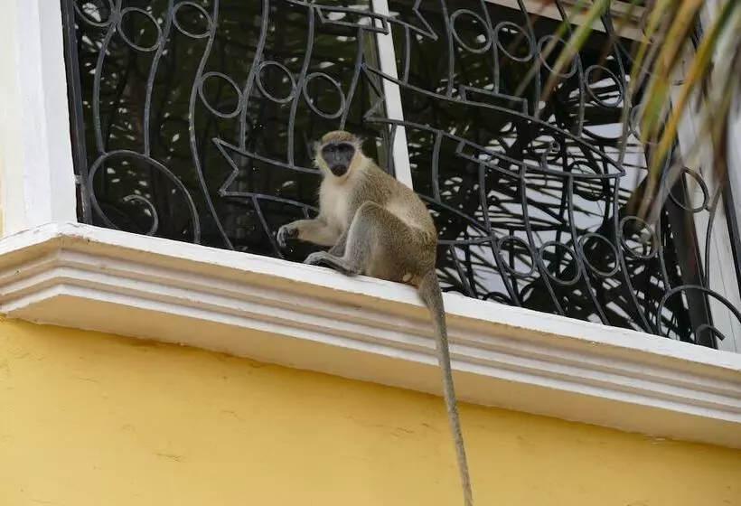 酒店 Calabash Apartment