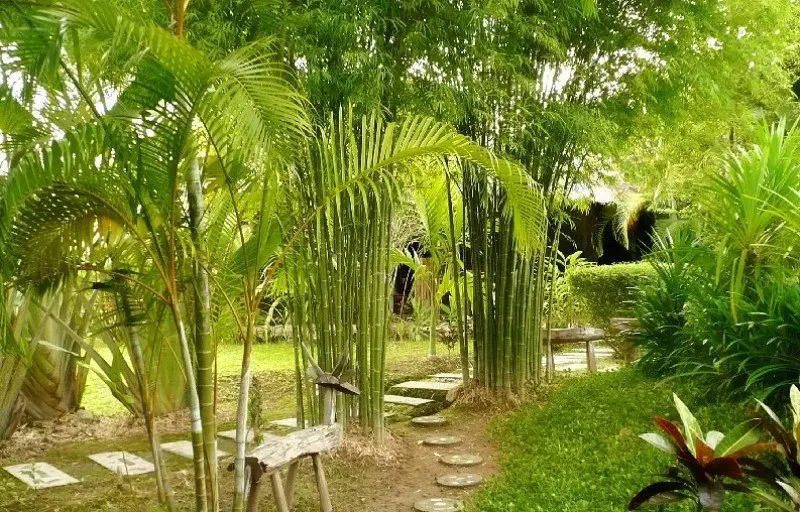 هتل Gims Resort