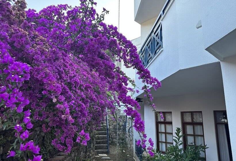 فندق Naturella Apart