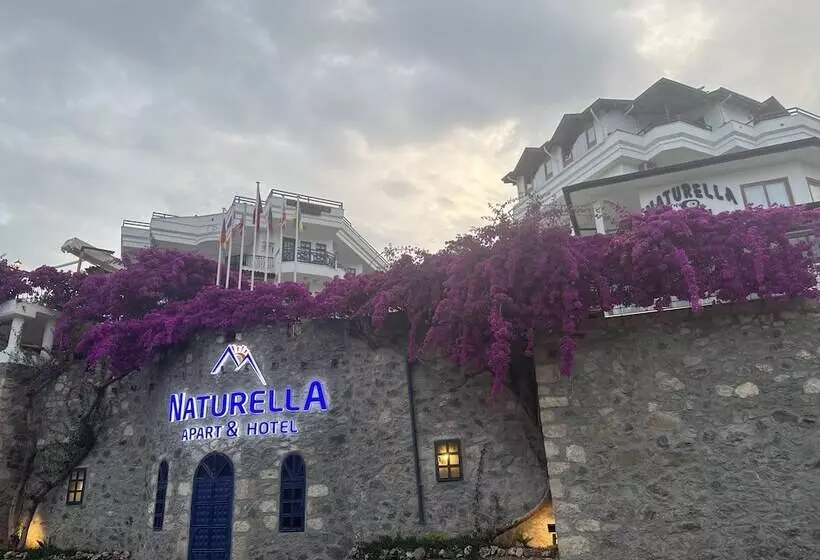Hotel Naturella Apart