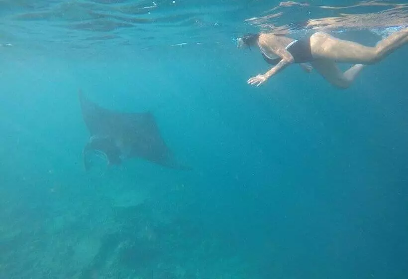 پانسیون Ukulhas Beach Inn