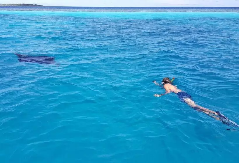 پانسیون Ukulhas Beach Inn