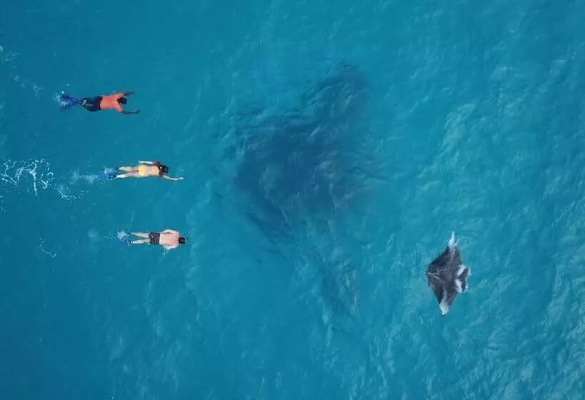 پانسیون Ukulhas Beach Inn