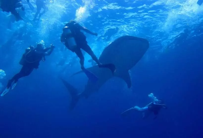 پانسیون Ukulhas Beach Inn