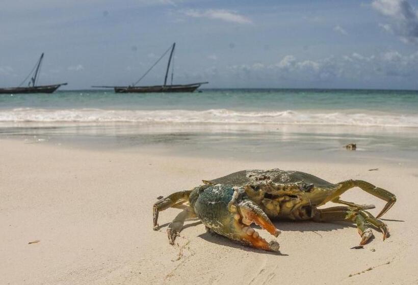 فندق Villa Malaika