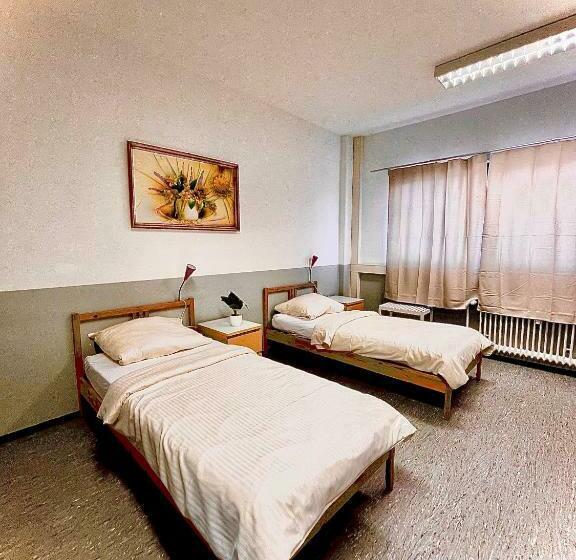 Общежитие Pension Messe