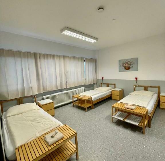 Общежитие Pension Messe