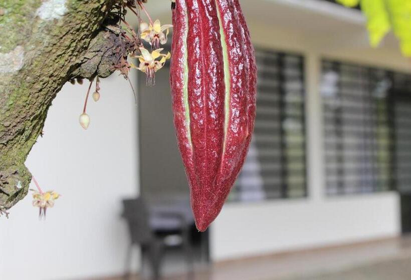 פנסיון Serranía Eco Lodge