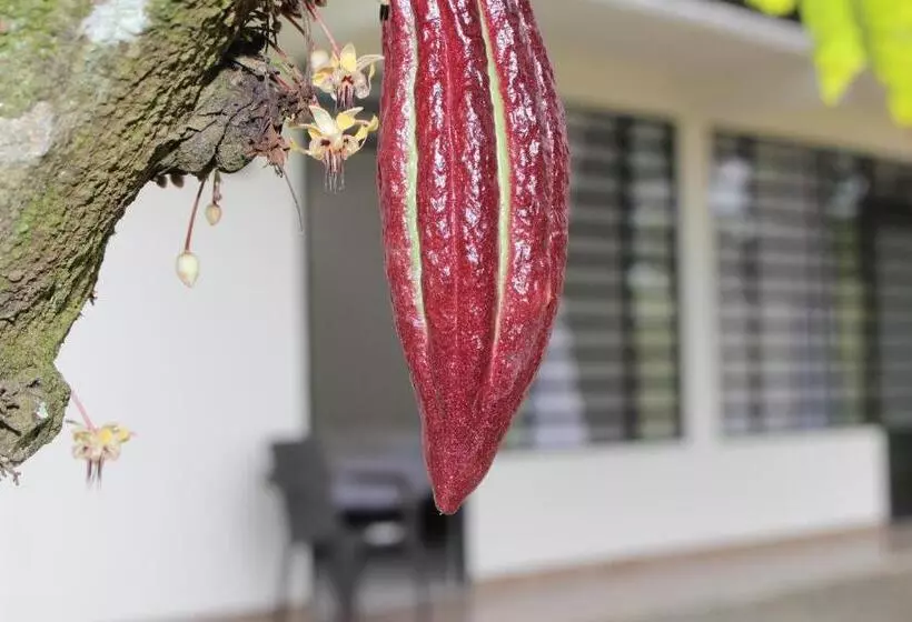 ペンション Serranía Eco Lodge