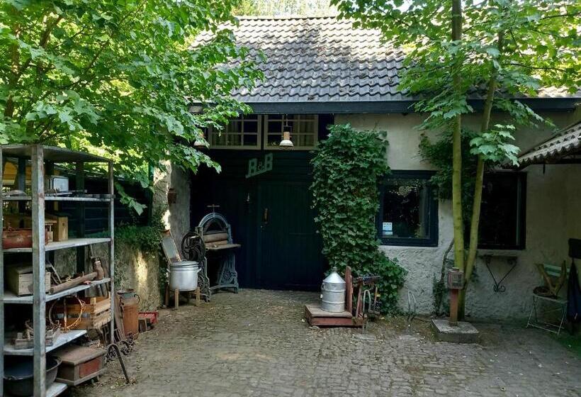 B&b Wood, Food & More