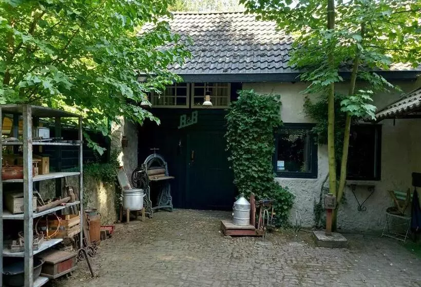 B&b Wood, Food & More