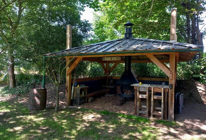 B&b Wood, Food & More