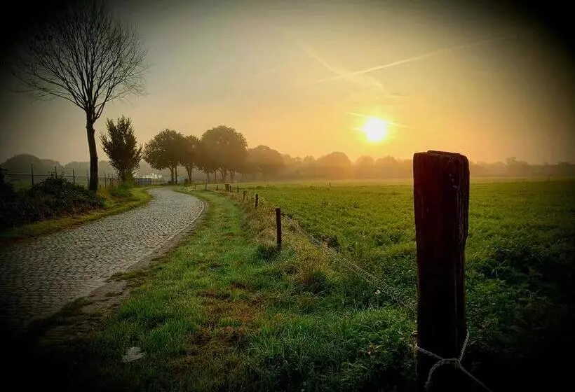 B&b Wood, Food & More