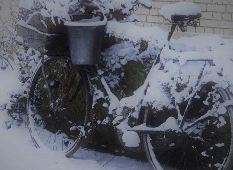 B&b Wood, Food & More