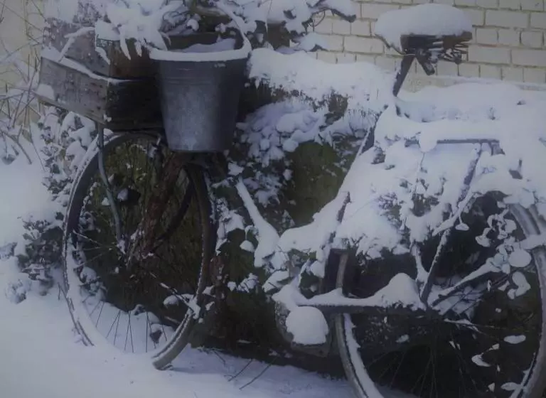 B&b Wood, Food & More