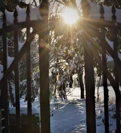 B&b Wood, Food & More