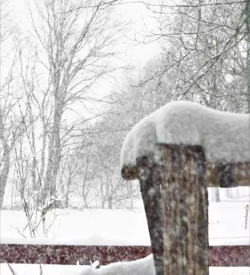 B&b Wood, Food & More