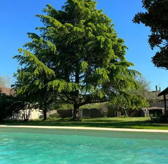 Le Jasmin