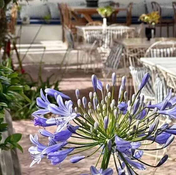 Lomakeskus To Be Social House