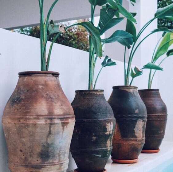 אתר נופש To Be Social House