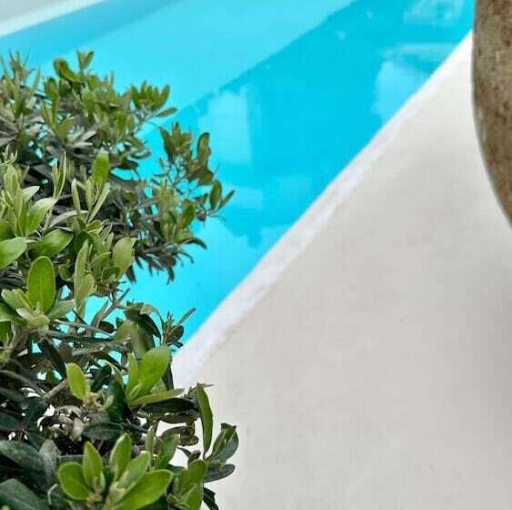 אתר נופש To Be Social House