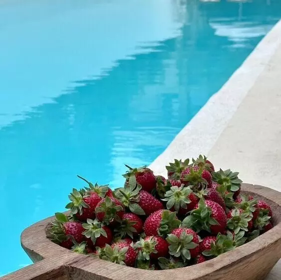 Lomakeskus To Be Social House