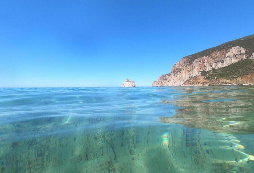 膳宿费 Open Space Rose