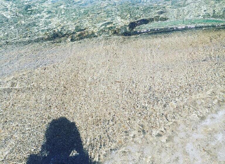 膳宿费 Open Space Rose