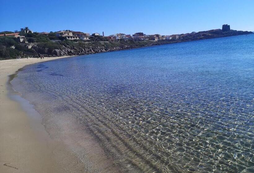 膳宿费 Open Space Rose