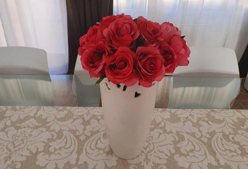 膳宿费 Open Space Rose