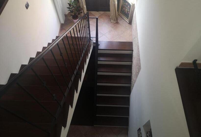 膳宿费 Open Space Rose