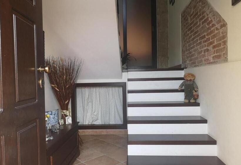 膳宿费 Open Space Rose