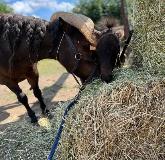 Majatalo Chata U Kostela