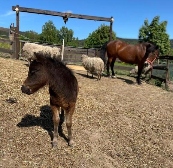 Majatalo Chata U Kostela