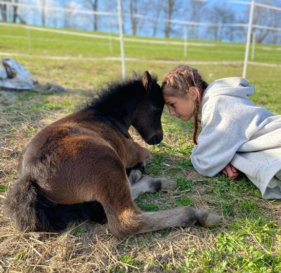 Majatalo Chata U Kostela