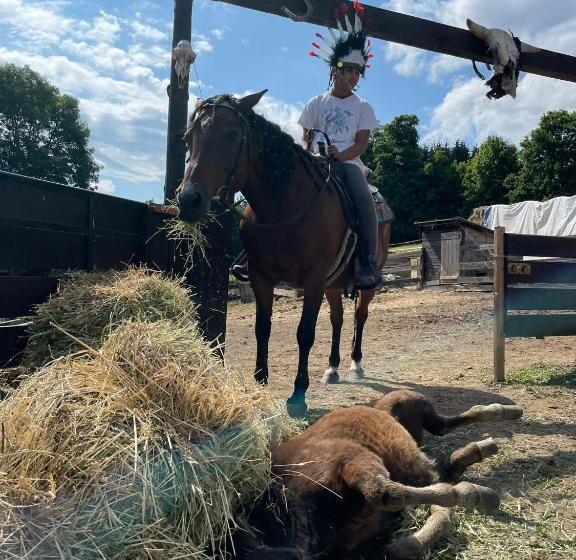 Majatalo Chata U Kostela