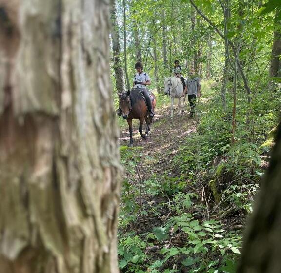 Majatalo Chata U Kostela