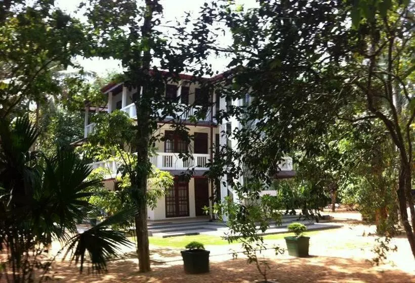 Aamiaismajoitus (B&B) Gem Field Rest